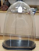 An oval glass dome and stand height 42cm