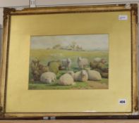 Thomas Sidney Cooper RA (1803-1902), watercolour, sheep in a landscape, signed,24 x 35cm