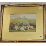 Thomas Sidney Cooper RA (1803-1902), watercolour, sheep in a landscape, signed,24 x 35cm