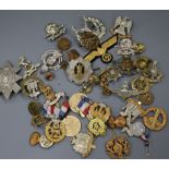 A collection of military cap badges etc.