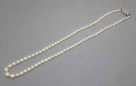 A single strand graduated cultured pearl necklace with diamond set white metal clasp, 40cm.