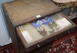 Two 19th century oak collectors' chests of drawers, with butterflies W.53cm