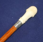 A maple walking cane with white metal collar, ivory handle and miniature domino compartment