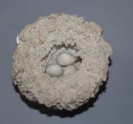 A Bristol porcelain model of a bird's nest, modelled by Edward Raby for Pountney & Co, left in the