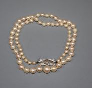 A single strand graduated cultured pearl necklace, with diamond set 9ct white gold clasp, 42cm.