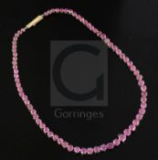 A gold and graduated round cut ruby line necklace, set with seventy four stones, 40cm