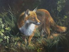 § Frank Wootton (1911-1998)oil on canvas'The Fox'signed, 1976 Stacy-Marks label verso16 x 21in.