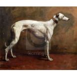 Heywood Hardy (1842-1933)oil on canvasPortrait of a champion greyhoundsigned and dated 188011.75 x