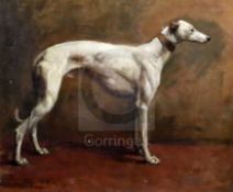 Heywood Hardy (1842-1933)oil on canvasPortrait of a champion greyhoundsigned and dated 188011.75 x