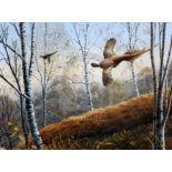 Adrian C. Rigby (1962-)watercolourPheasants flying through a birch woodsigned16 x 22.5in.