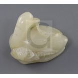 A Chinese white jade figure a duck, 19th century, seated on a lotus leaf with flower and biting a