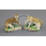 A pair of Derby porcelain figures of a tiger and a leopard, c. 1820-30, each in menacing pose on a