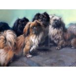 Fannie Moody (1861-1948)pastel'The Family'; four Pekinese dogssigned24 x 31in.