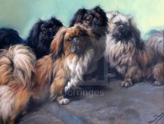 Fannie Moody (1861-1948)pastel'The Family'; four Pekinese dogssigned24 x 31in.