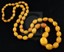 A single strand graduated oval amber bead necklace, gross weight 99 grams, 97cm.