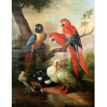 After d'Hondecoeteroil on canvasParrots and ducks in a landscape48 x 38in., unframed