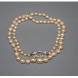 A single strand graduated cultured pearl necklace, with diamond set 9ct white gold clasp, 42cm.