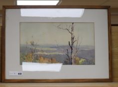 Theodor Penleigh Boyd (1890-1923), watercolour, Australian landscape, signed and dated 1914, 25 x