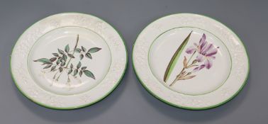 A pair of pearlware botanical specimen plates, c.1820, possibly Clews, each finely painted with