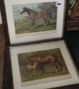 After Sheldon Williams - Four equestrian chromolithographs, 18 x 22cm.