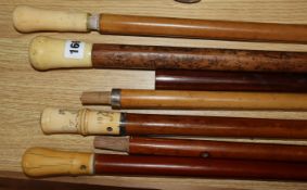 Four ivory handled walking sticks and three canes