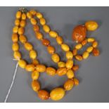 A double strand amber choker necklace and other loose amber, gross weight 81 grams, necklace 36cm.