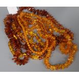 Six amber and amber-style bead necklaces.