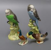 Two Beswick models of budgies, numbered 1216 and 1217 and two small models of ducks tallest 18cm