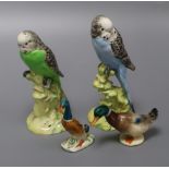 Two Beswick models of budgies, numbered 1216 and 1217 and two small models of ducks tallest 18cm