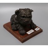 A bronze model of a bulldog