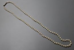 A single strand graduated cultured pearl necklace, with white metal clasp, 44cm.