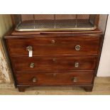 A Regency mahogany three drawer chest W.100cm