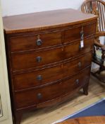 A Regency satinwood banded mahogany chest of two short and three long drawers W.104cm