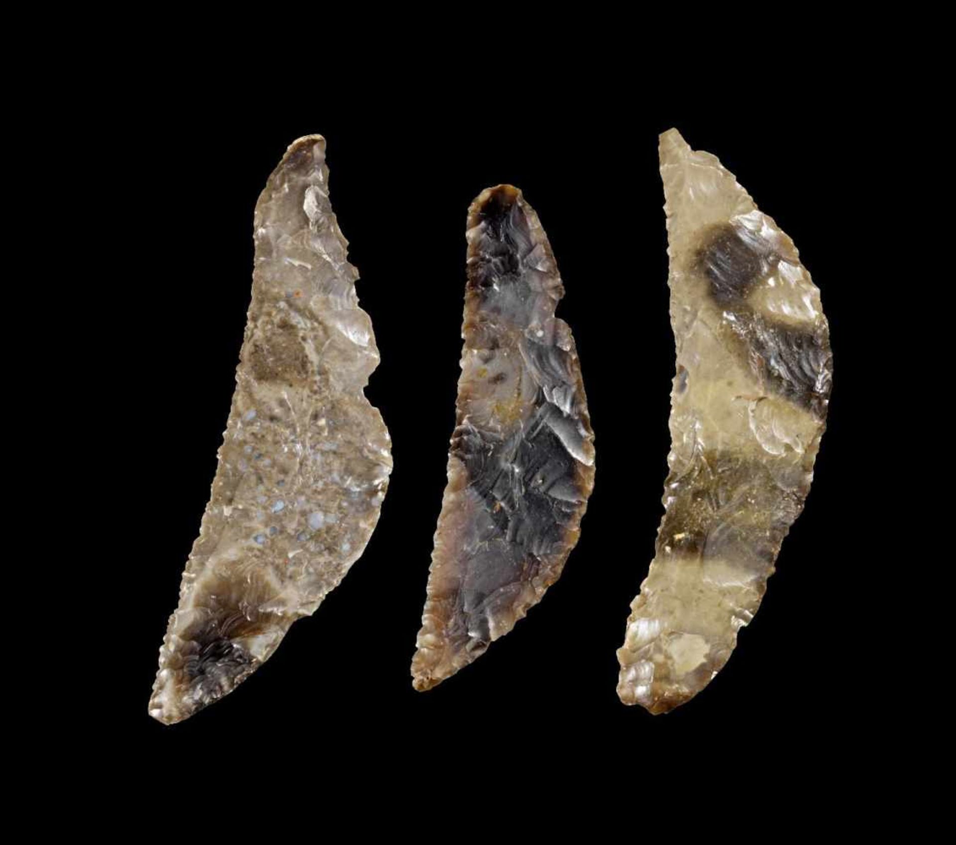 Sammlung Sicheln. Nordeuropa, neolithisch, 6. - 3. Jt. v. Chr. L 13,5-16cm. Hell- und dunkelgrauer