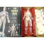 TWO RENWALL ASSEMBLY KITS comprising The Visible Man and The Visible Head, each boxed.