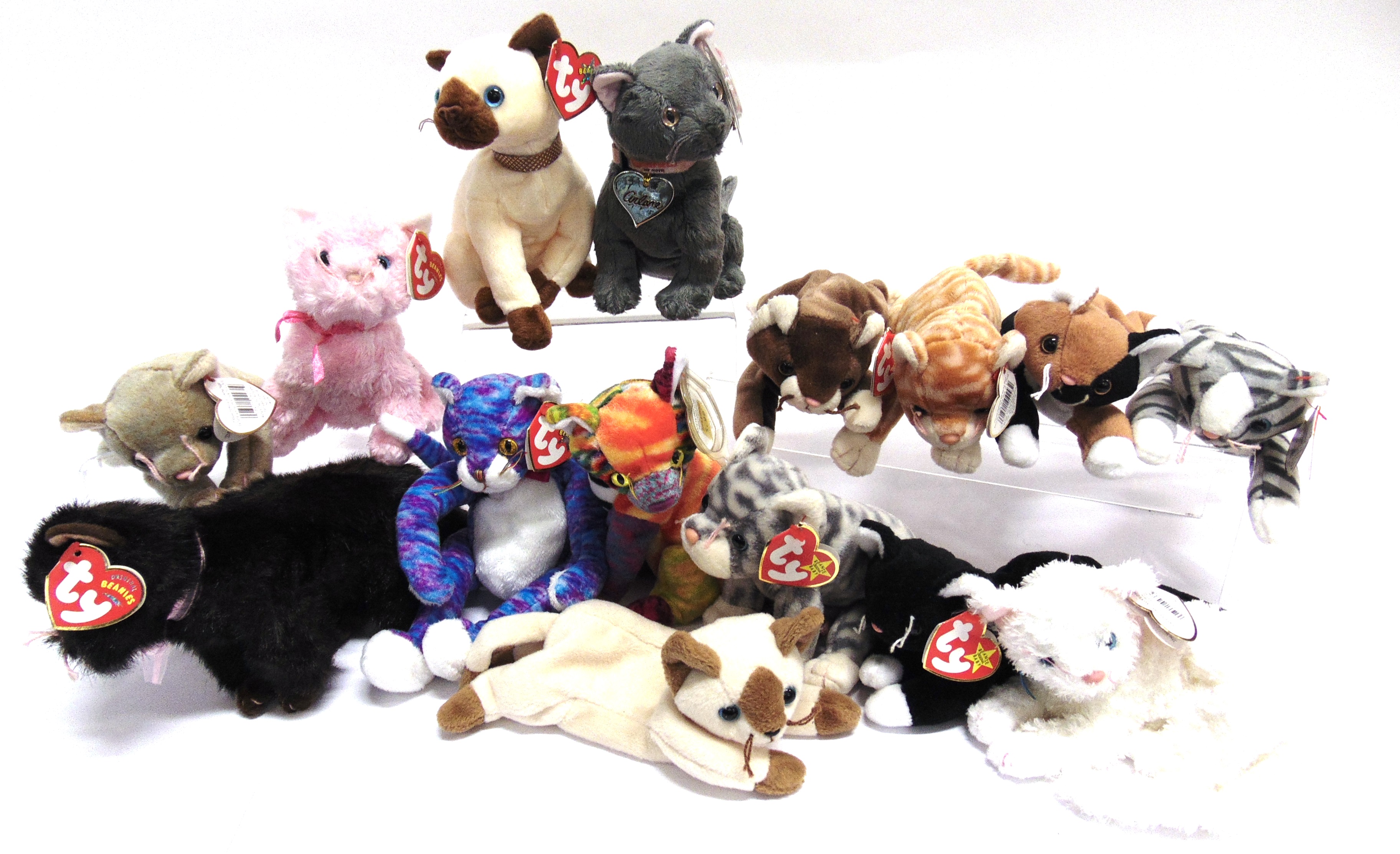 FIFTEEN TY BEANIE CAT SOFT TOYS