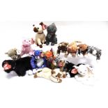 FIFTEEN TY BEANIE CAT SOFT TOYS