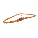 AN EARLY 20TH CENTURY AMBER NECKLACE the 50 oval beads graduated approx. 35mm X 26mm to 12 X 8mm,