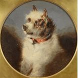 AFTER GEORGE ARMFIELD Study of a Terrier wearing a red collar, colour print, circular 27cm diameter