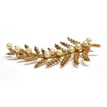 A 9CT GOLD AND SMALL CULTURED PEARL FERN FROND BROOCH the ten slightly graduated cultured-pearls set