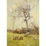 ADAM EDWIN PROCTOR, R.B.A. (BRITISH, 1864-1913) Sheep grazing in an orchard, oil on board, signed