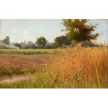 BRITISH SCHOOL (20TH CENTURY) Arable landscape with wheat and poppies, oil on board, unsigned, 24.