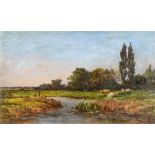 BRITISH SCHOOL (EARLY 20TH CENTURY) Cattle resting on a water meadow, oil on board, unsigned, 23.5cm