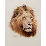 AFTER GUY COHELEACH African King - a head study of a lion, colour print, signed in pencil, 60 x