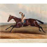 AFTER C. HANCOCK Blue Bonnet, titled colour racing print, with text below, 35 x 41cm; together