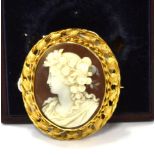 A VICTORIAN GOLD AND OVAL SHELL CAMEO BROOCH DEPICTING FLORA ON A DARK BROWN GROUND rub-over set