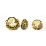 TWO VICTORIAN SHELL CAMEO BROOCHES AND A KNOT BROOCH the larger cameo depicting a neoclassical