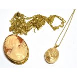 A VINTAGE 9CT GOLD AND OVAL SHELL CAMEO BROOCH, A LOCKET AND CHAIN AND VARIOUS TANGLED CHAINS the