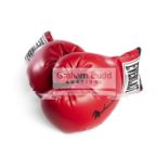 An autographed Muhammad Ali boxing glove, a pair of red leather Everlast boxing gloves,