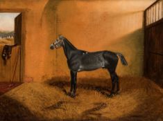 An oil painting of a polo pony by J C Pa